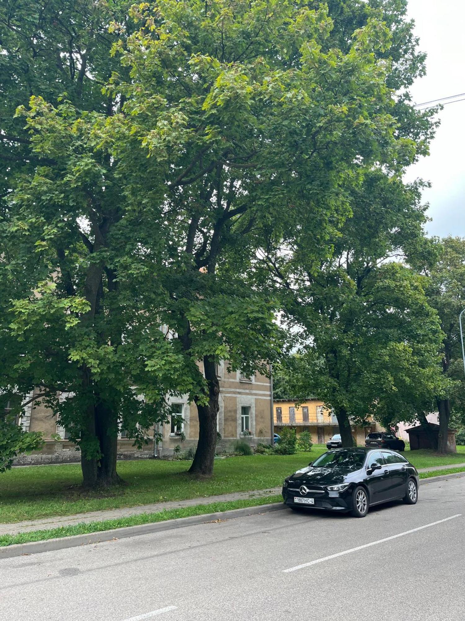 Dzivoklis Istermina
